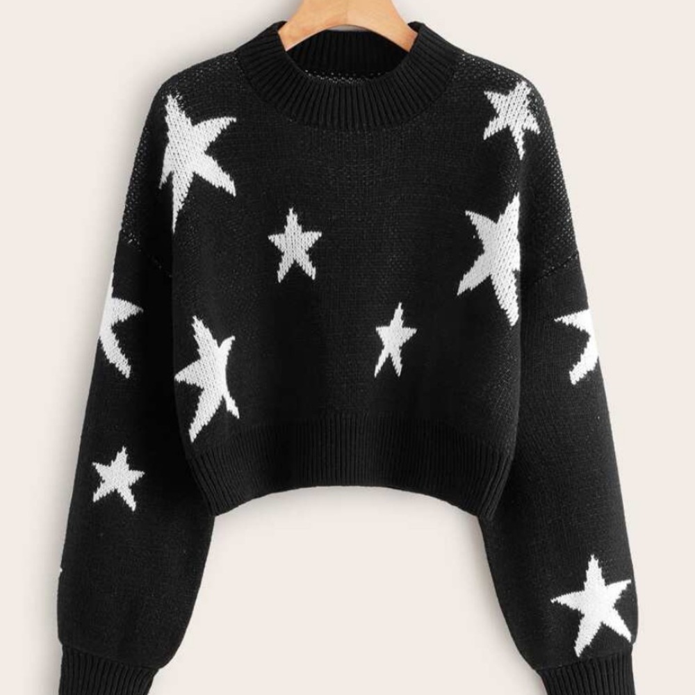 Star cropped sweater